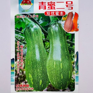 嫩早蜜本南瓜种子双优密秘本南瓜种子基地专用嫩南瓜老南瓜种