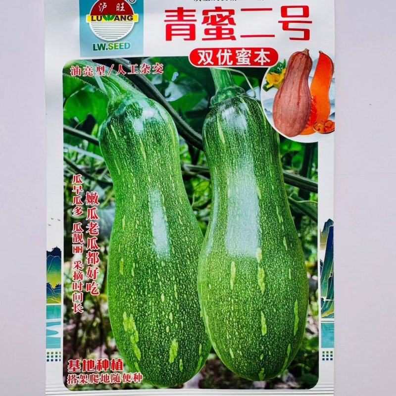 嫩早蜜本南瓜种子双优密秘本南瓜种子基地专用嫩南瓜老南瓜种