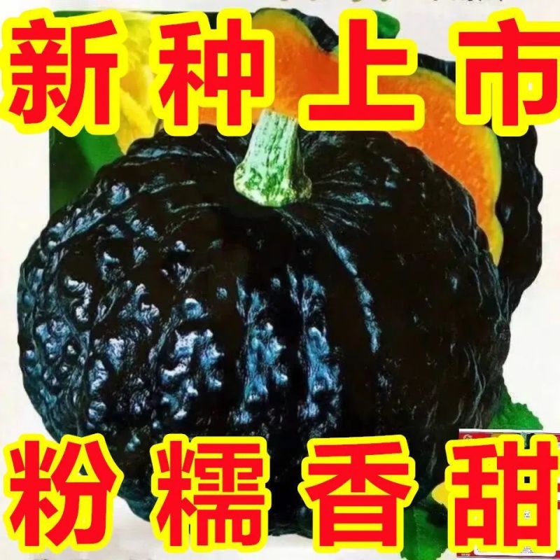 鳄美南瓜种子鳄鱼南瓜种籽癞子皮南瓜种粉糯甜板栗味南瓜种子