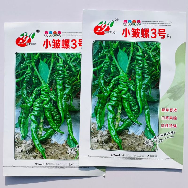 辣椒种子小皱螺3号早熟螺丝椒种子皮薄香辣深绿皮辣椒种子