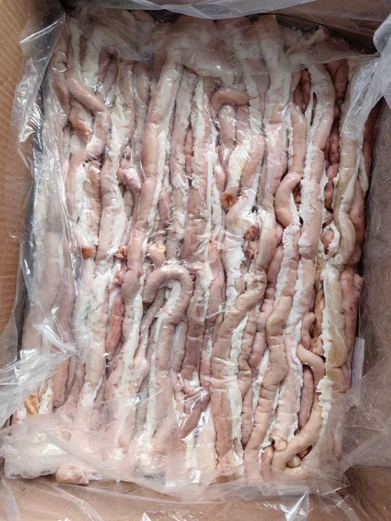 纯干精品小肠头，十二支肠