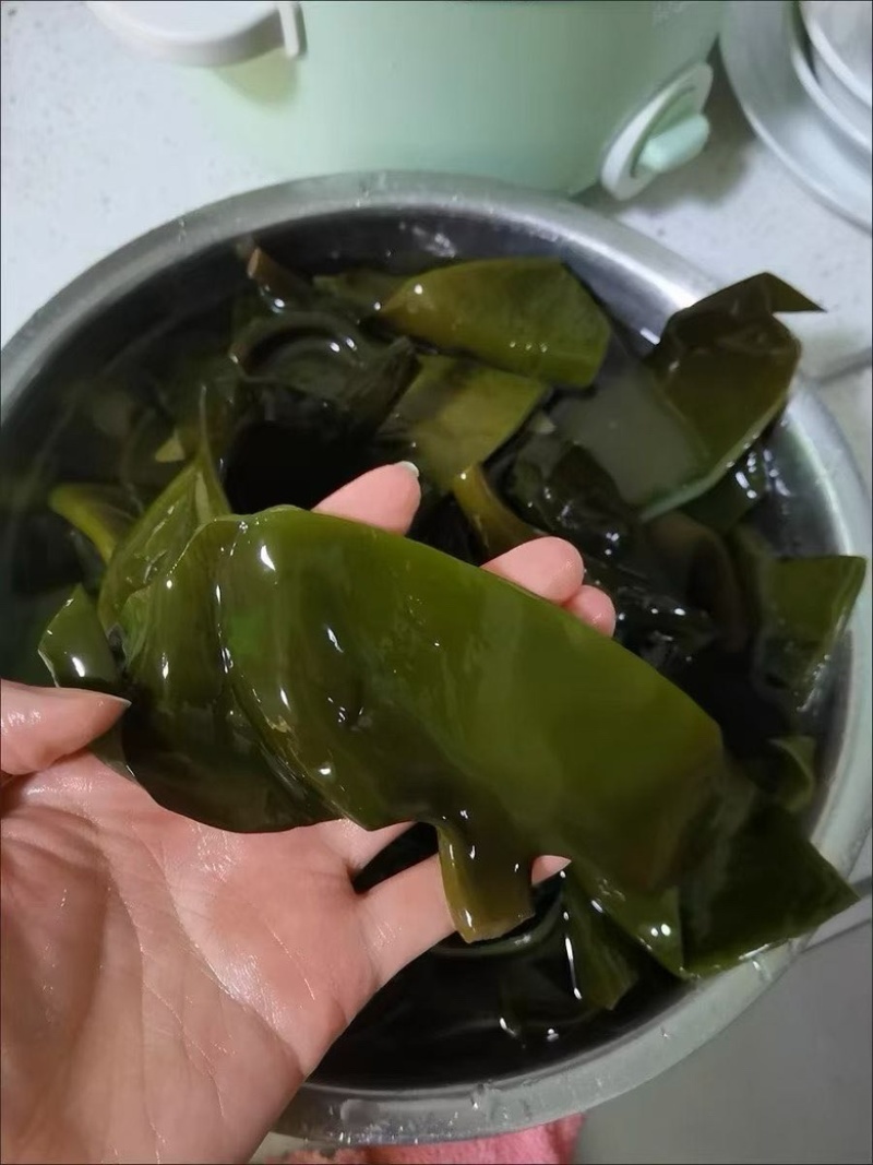福建漳州特产海带头淡干无盐厚实软糯餐饮家用产地直