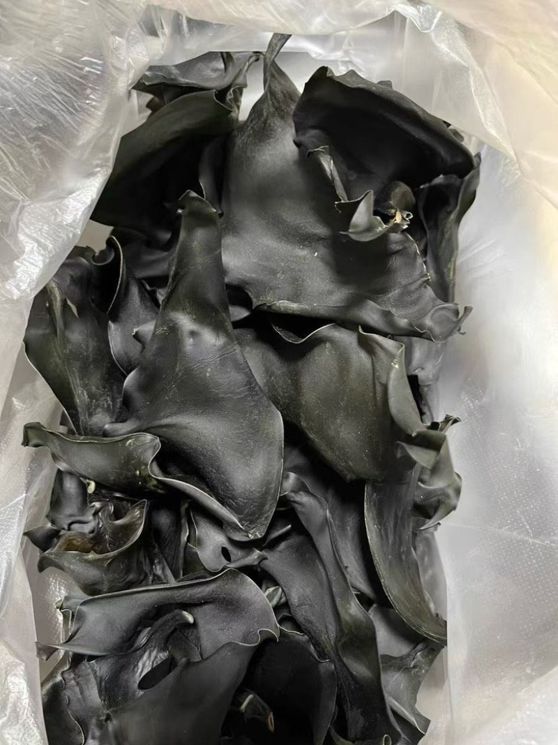 福建漳州特产海带头淡干无盐厚实软糯餐饮家用产地直