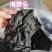 福建漳州特产海带头淡干无盐厚实软糯餐饮家用产地直