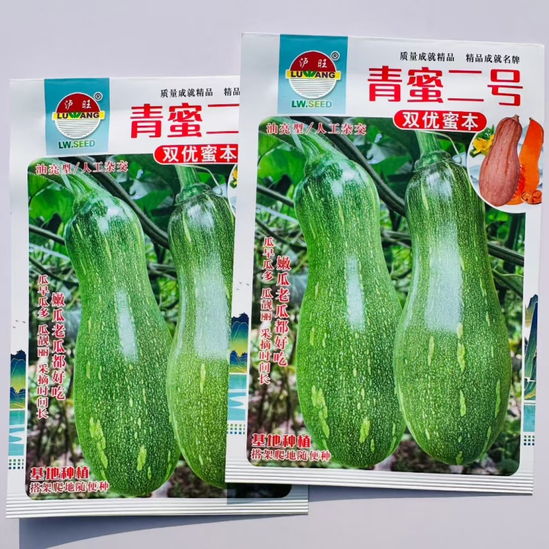 青蜜二号南瓜种子嫩瓜油绿发亮有花斑老瓜橙黄味甜面蜜本南瓜