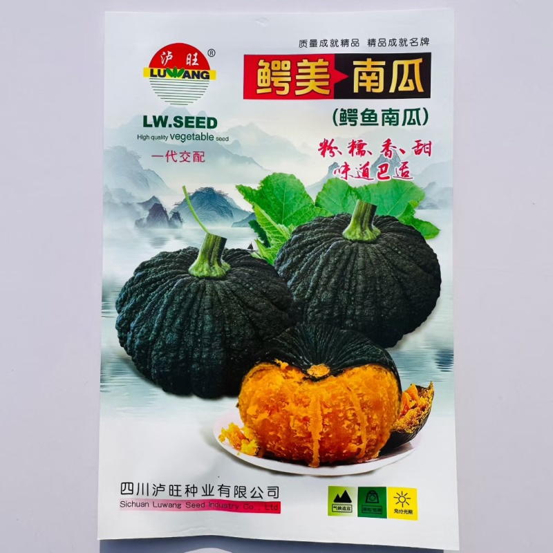 鳄美鳄鱼皮南瓜种子香甜粉糯南瓜种籽肉质橙黄老嫩皆宜南瓜种