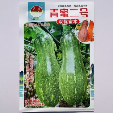 青蜜二号南瓜种子嫩瓜油绿发亮有花斑老瓜橙黄味甜面蜜本南瓜
