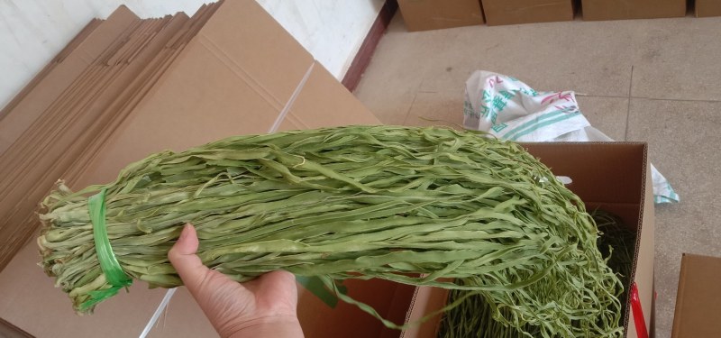 贡菜