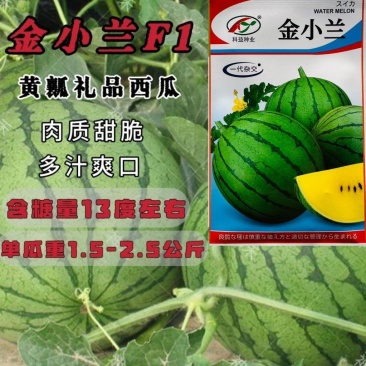 金小兰西瓜种子早熟黄瓤礼品小西瓜种籽高产早熟黄瓤礼品西瓜