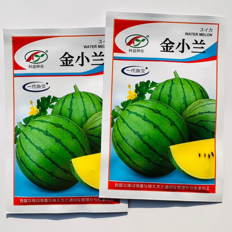 金小兰西瓜种子早熟黄瓤礼品小西瓜种籽高产早熟黄瓤礼品西瓜