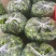 山东特产精品芜湖椒薄皮椒苏椒5号大量上市中颜色绿亮发全国