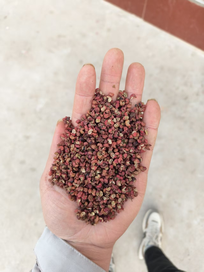 韩城独特香麻花椒面/麻到嘴跳调味必备批发零售均可全国发货