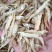 水煮白公鱼