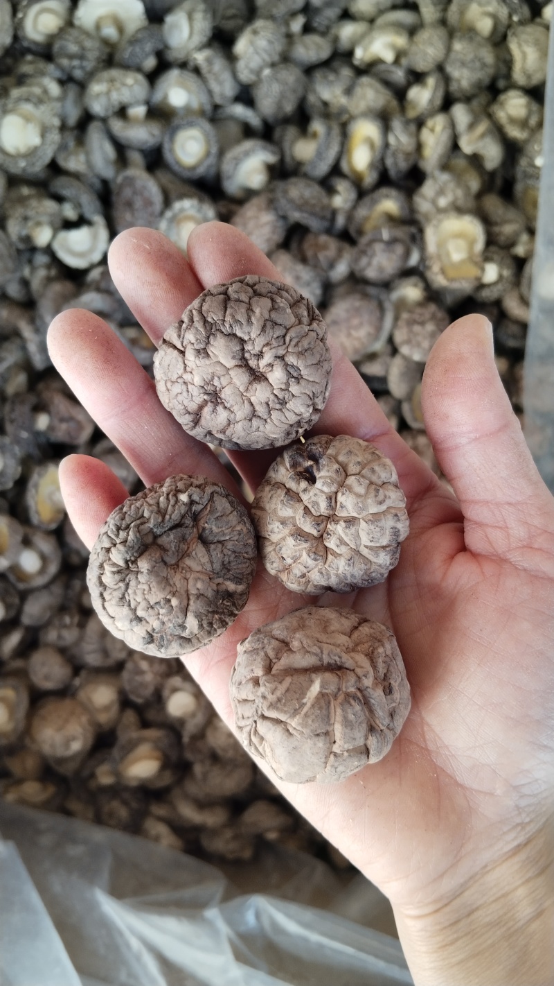 a特级干香菇3-4批发零售高品好货粤东热销花菇板菇