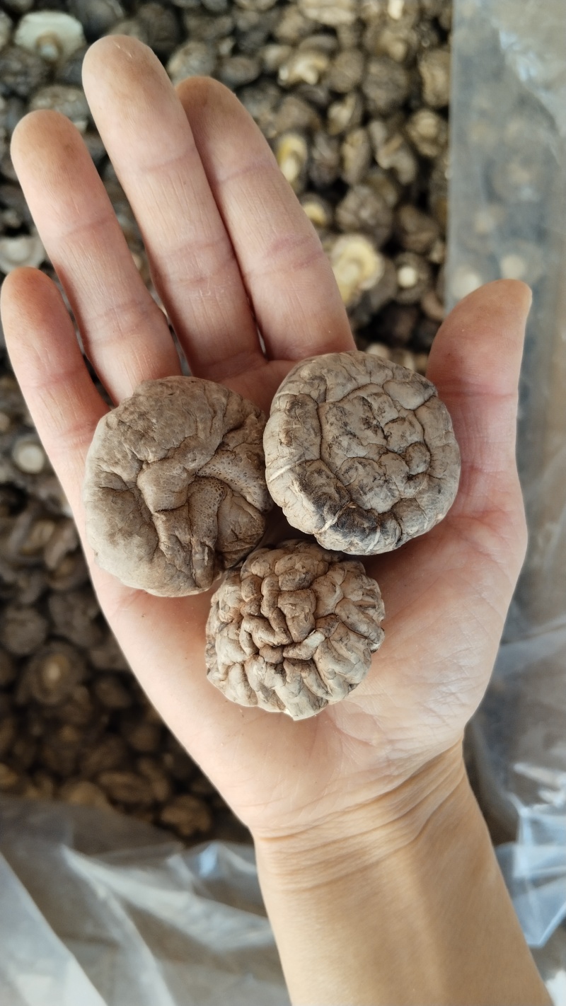 a特级干香菇3-4批发零售高品好货粤东热销花菇板菇