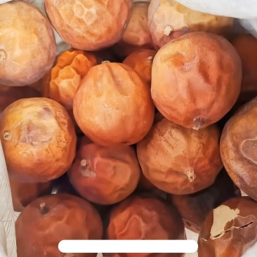 全瓜蒌