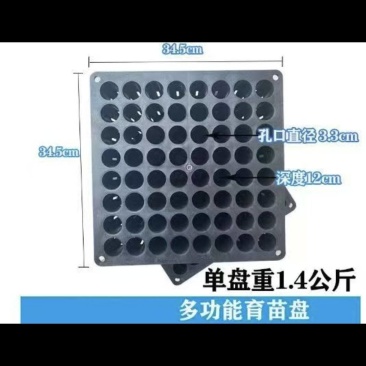 柑橘育苗专用育苗盘