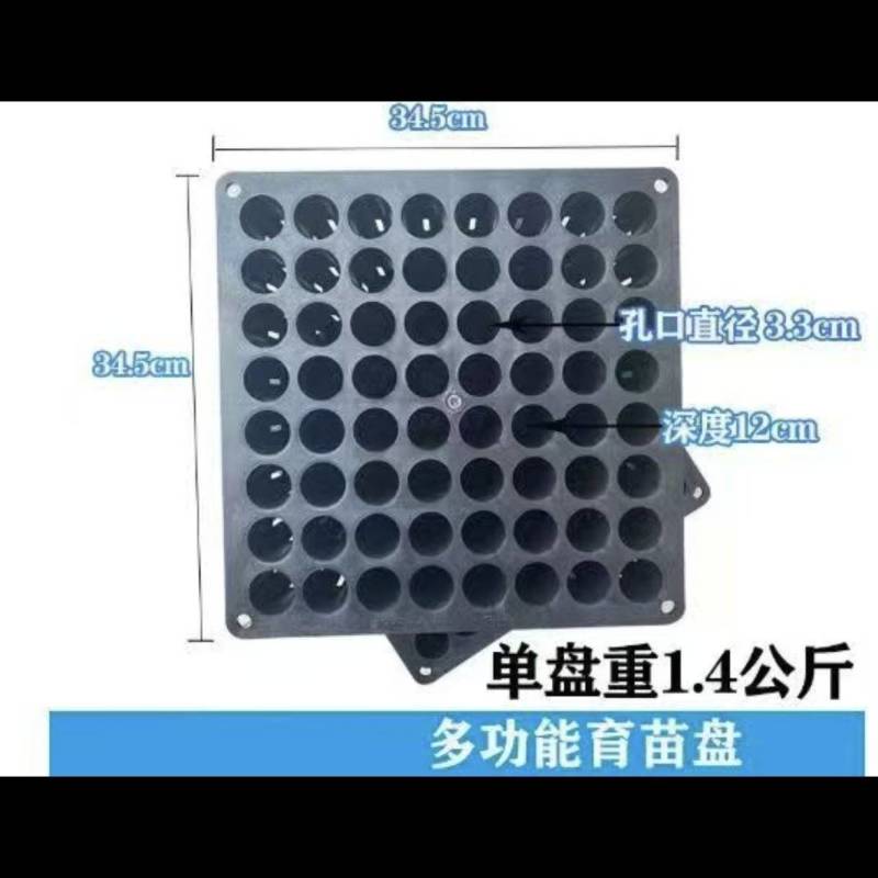 柑橘育苗专用育苗盘