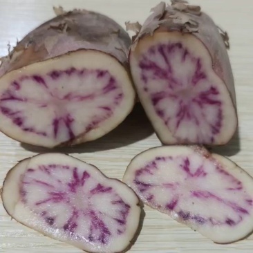 七彩土豆