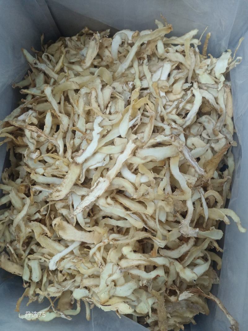 出口玉竹片产地直发可常年供应品质保障对接全国