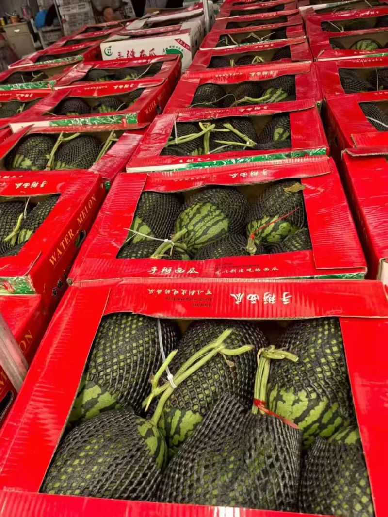 山东全美2K西瓜新鲜上市价格美丽对接全国量大从优欢迎询价