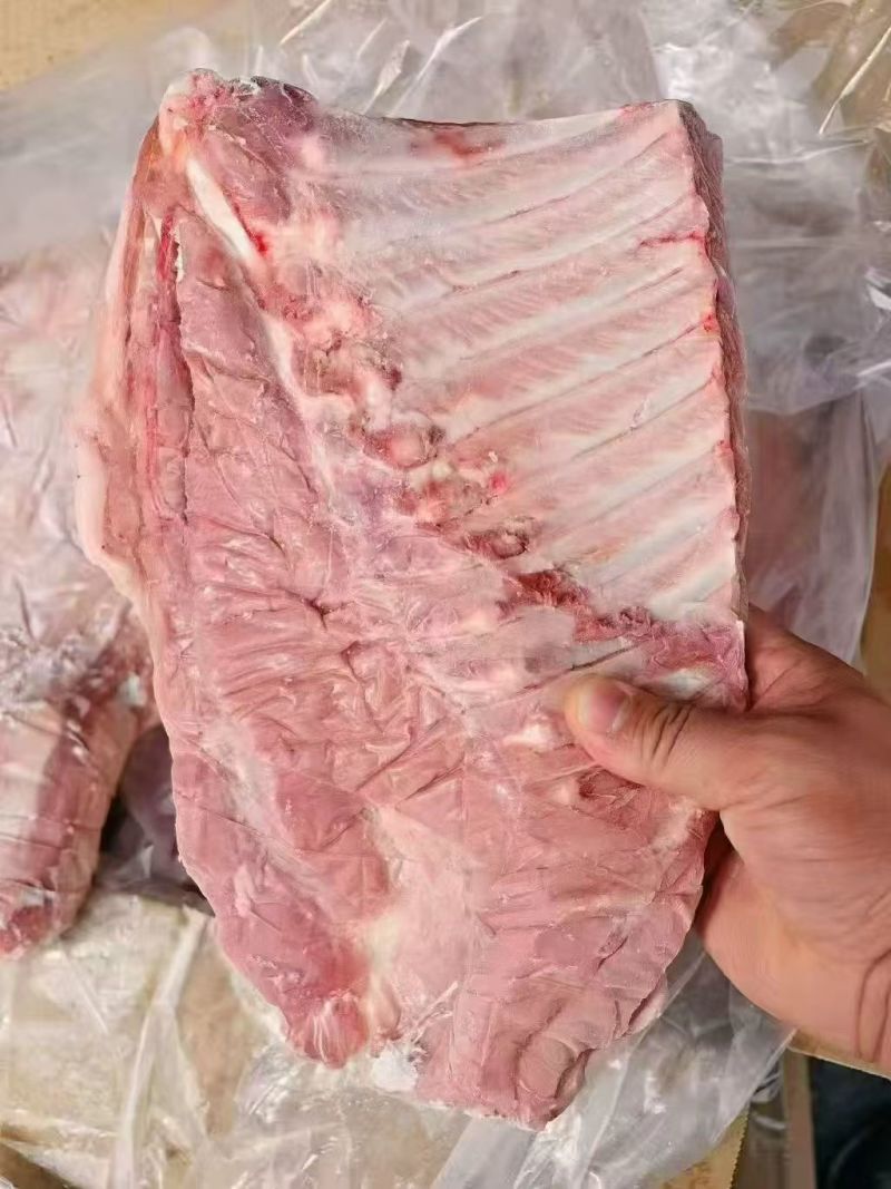 毛肋排