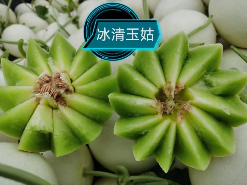 神奥花牛黑皮西瓜种子中晚熟薄皮大果不空心抗病能力强