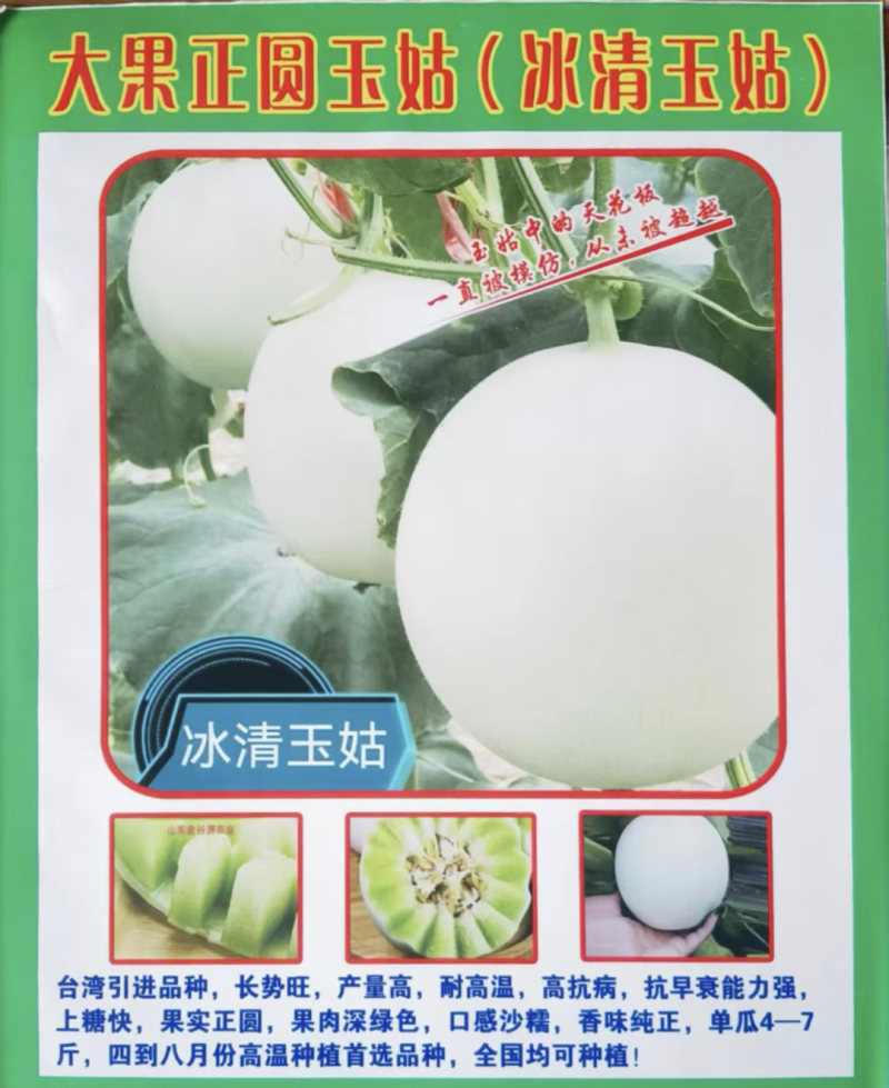 神奥花牛黑皮西瓜种子中晚熟薄皮大果不空心抗病能力强