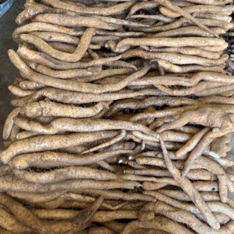 铁棍山药