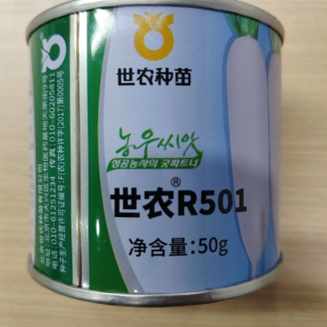 世农R501板叶白萝卜种子