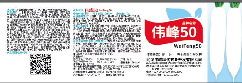 伟峰50耐热高品质白萝卜
