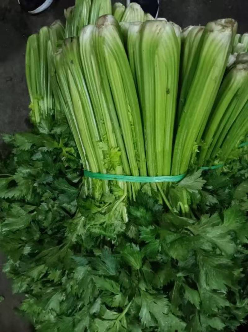 本地西芹