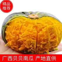 《精选》广西贝贝南瓜产地直发/品质保证/可发批发商超