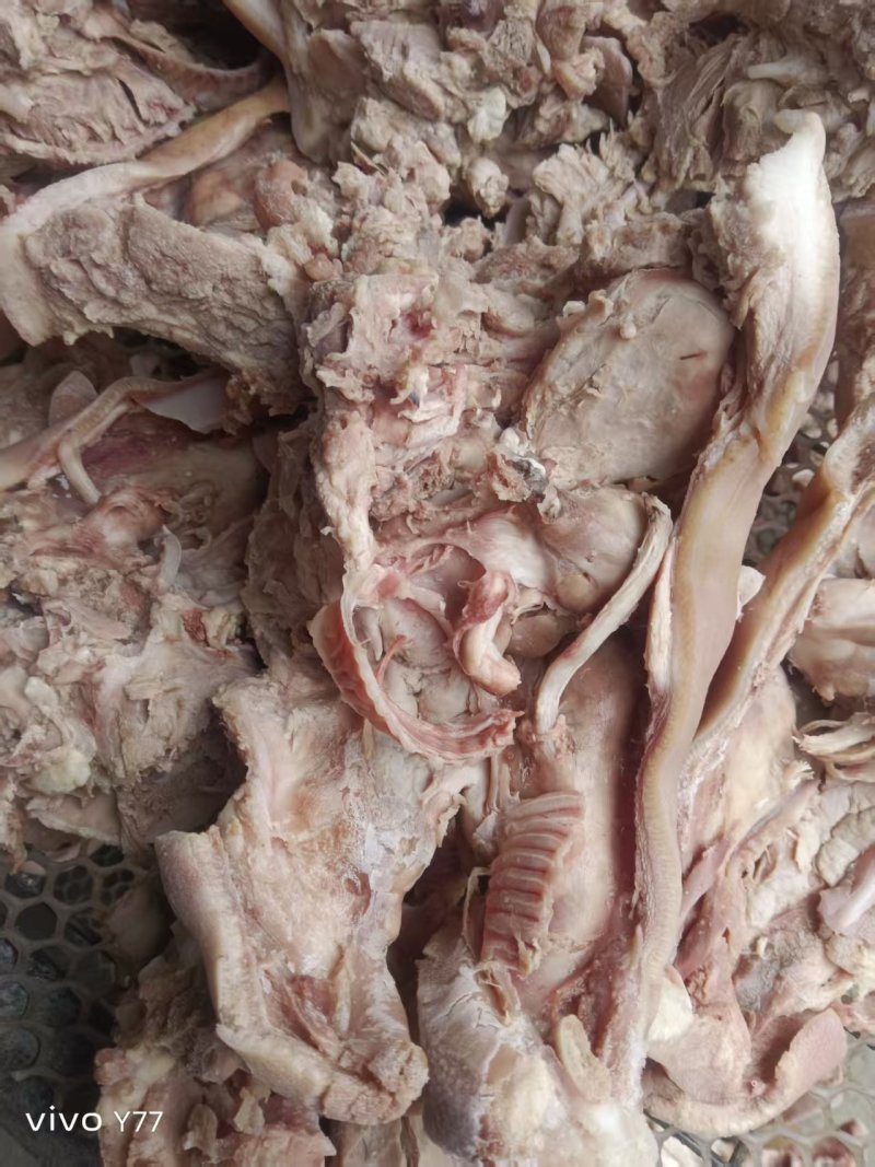 半成品猪头肉