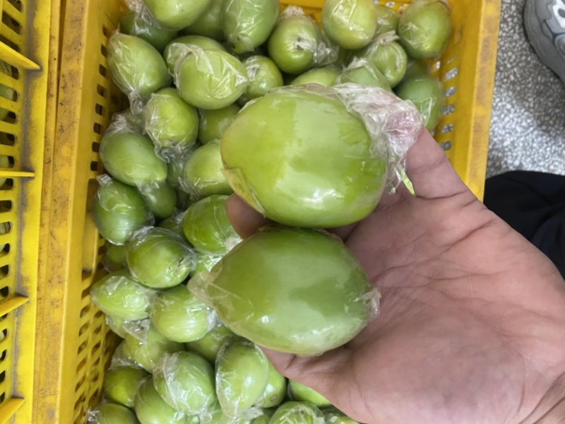 青枣