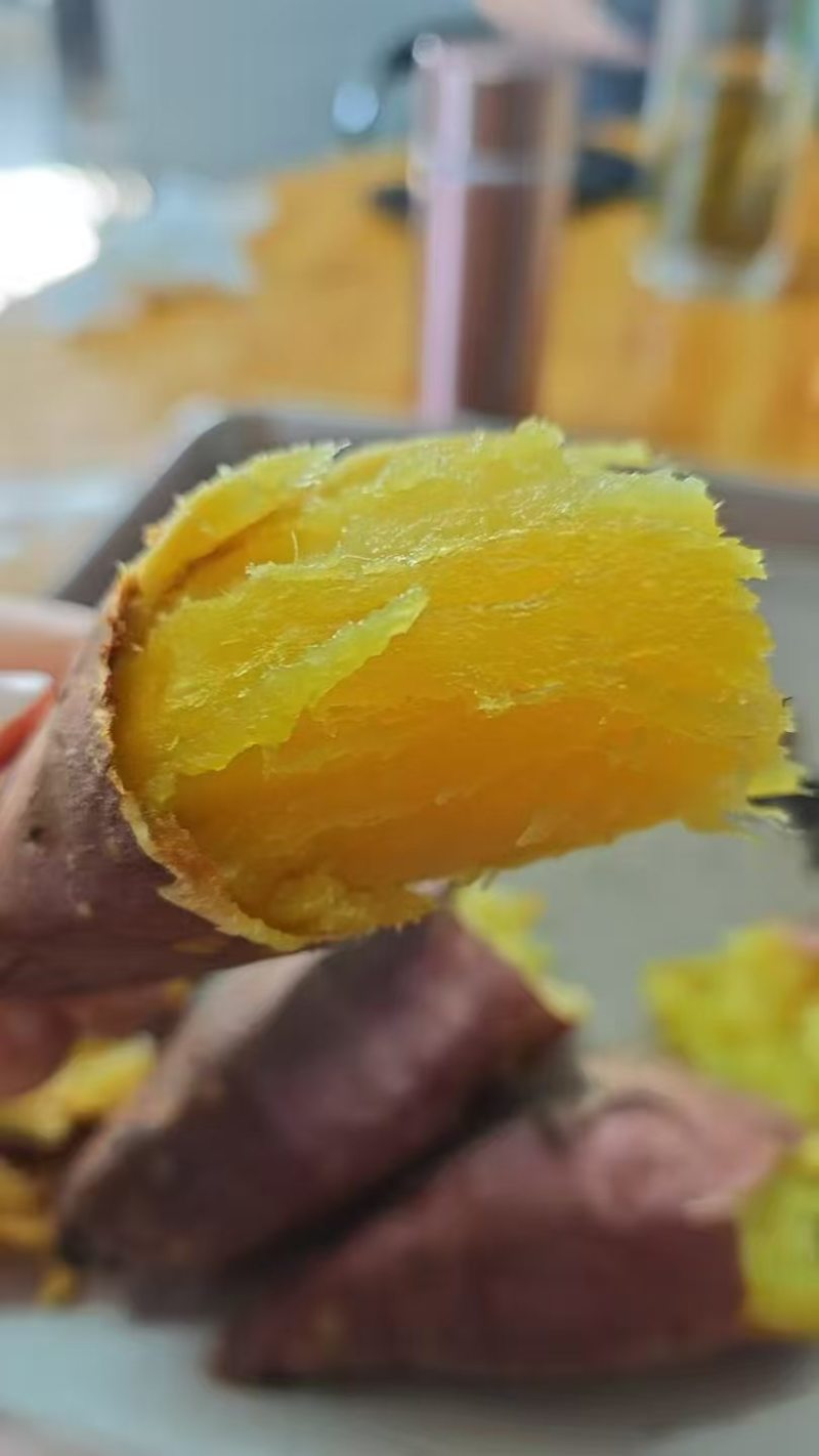 岳龙红瑶