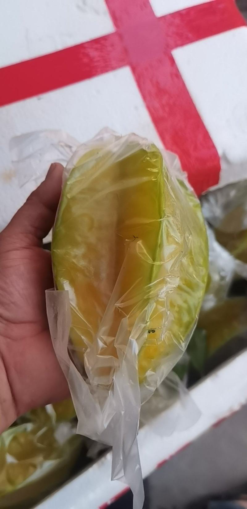 福建漳州，杨桃.电商，超市.一件代发.需要的老板请联系