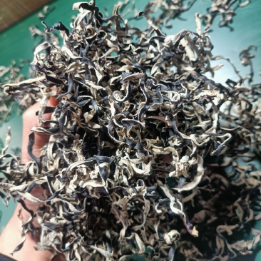 鱼台产地螺蛳粉专用白背毛木耳丝、去根头茬\二茬3mm毫米