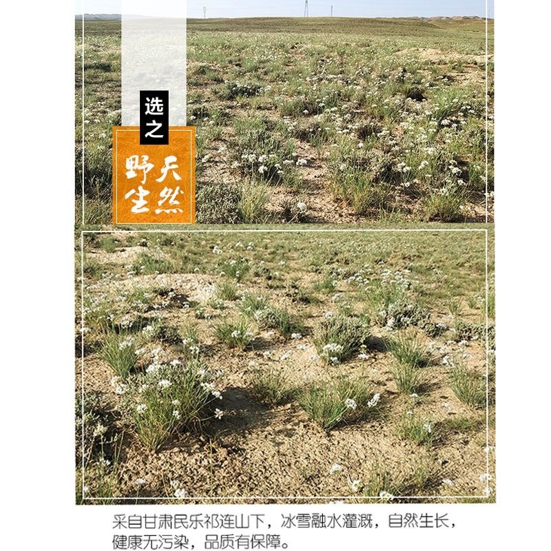 （批发专用）野生麻麻花扎蒙花洋湖花山蒙花批发专用