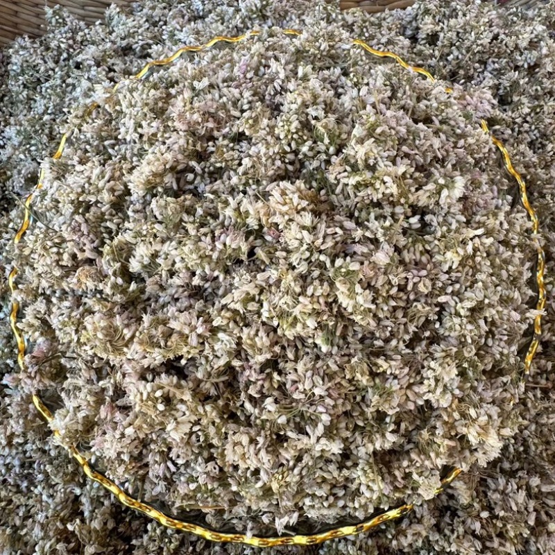 （批发专用）野生麻麻花扎蒙花洋湖花山蒙花批发专用