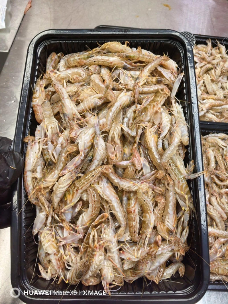 当季叮当虾，鲜