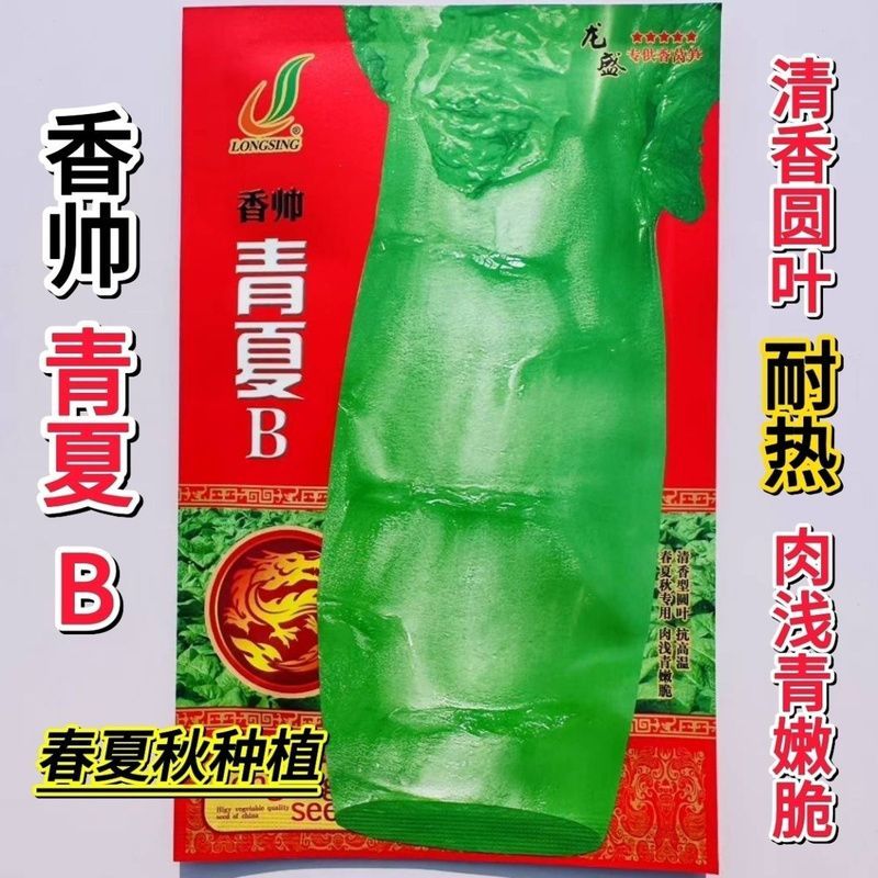 龙盛香帅青夏清香莴笋种子叶片长椭圆皮嫩浅绿白耐热性强春夏
