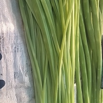 一手货源，贡菜干