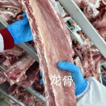 母猪龙骨