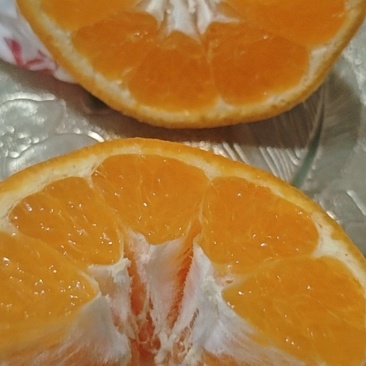 春见耙耙柑