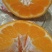 春见耙耙柑