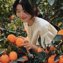 【云南宾川沃柑】规格齐全欢迎电商市场对接全国发货