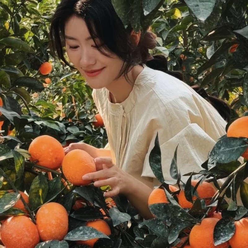 【云南宾川沃柑】规格齐全欢迎电商市场对接全国发货