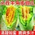 泗县墩集头茬羊角蜜