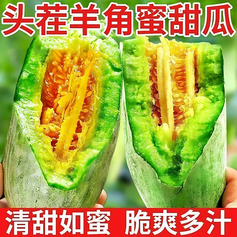 泗县墩集头茬羊角蜜